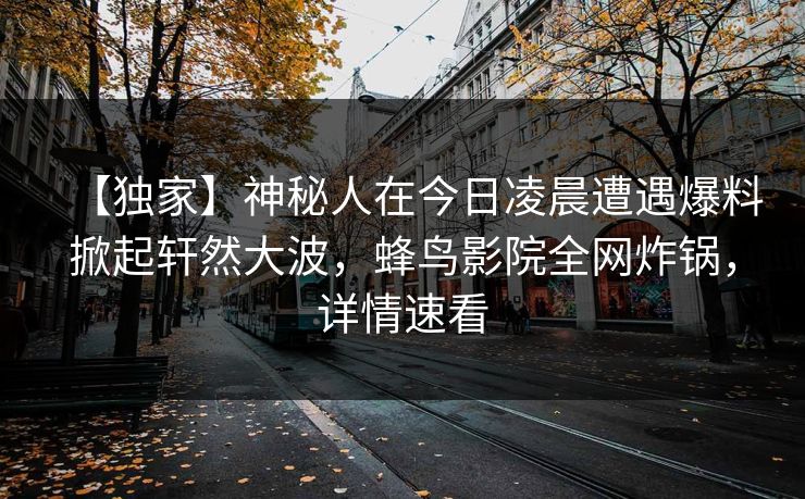 【独家】神秘人在今日凌晨遭遇爆料掀起轩然大波,蜂鸟影院全网炸锅,详情速看 【独家】神秘人在今日凌晨遭遇爆料掀起轩然大波,蜂鸟影院全网炸锅,详情速看