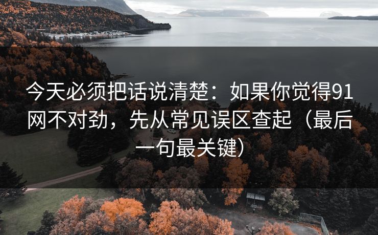 今天必须把话说清楚：如果你觉得91网不对劲，先从常见误区查起（最后一句最关键）