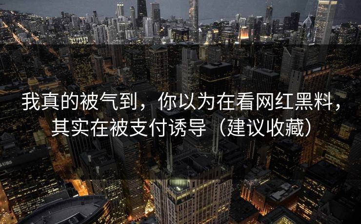 我真的被气到,你以为在看网红黑料,其实在被支付诱导(建议收藏) 我真的被气到,你以为在看网红黑料,其实在被支付诱导(建议收藏)